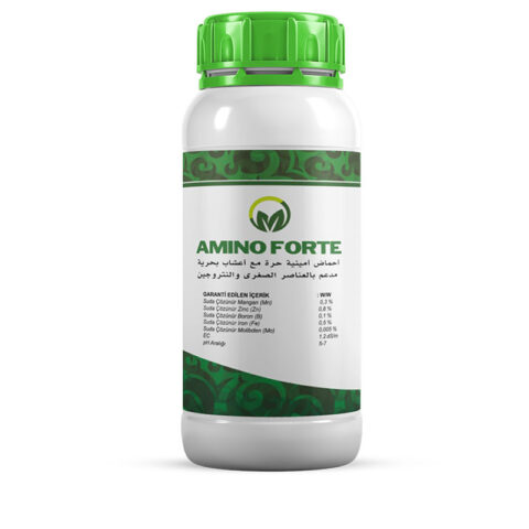 AMINO FORTE